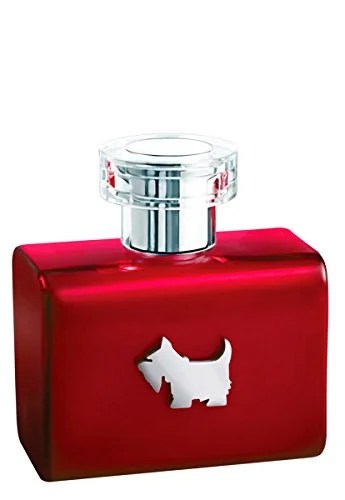 Red Terrier Ferrioni